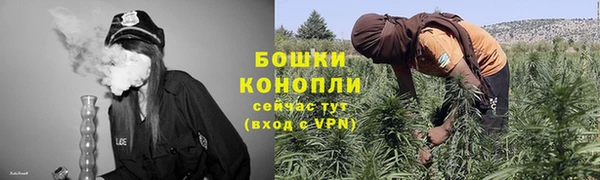 шишки Медвежьегорск