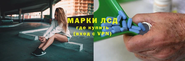 гашик Карталы