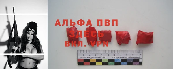 шишки Медвежьегорск