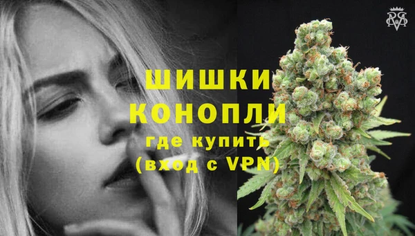 дурь Карпинск