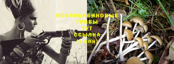 дурь Карпинск