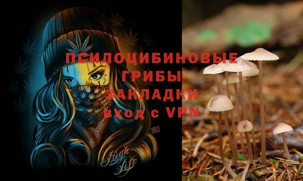 гашик Карталы