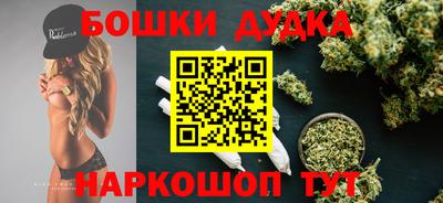 индика Ливны