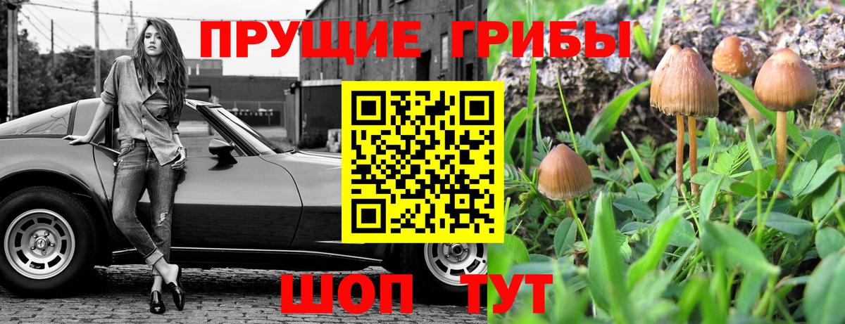 Псилоцибиновые грибы ЛСД  Вход с VPN  Арзамас  Псилоцибиновые грибы Cubensis 
