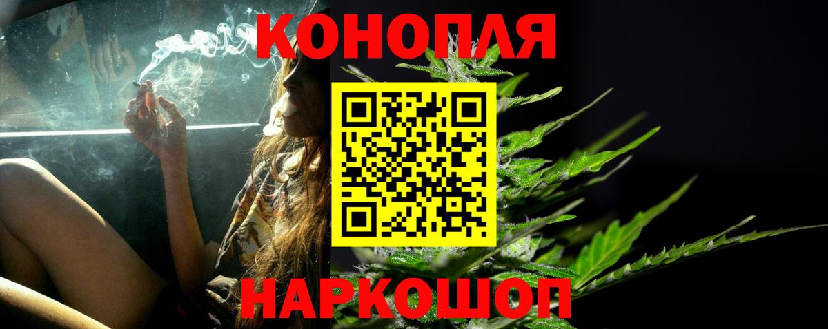 Конопля сатива Арзамас